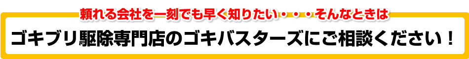 頼れる会社を一刻でも早く知りたいそんなときは、ゴキブリ駆除専門店のゴキバスターズにご相談ください!